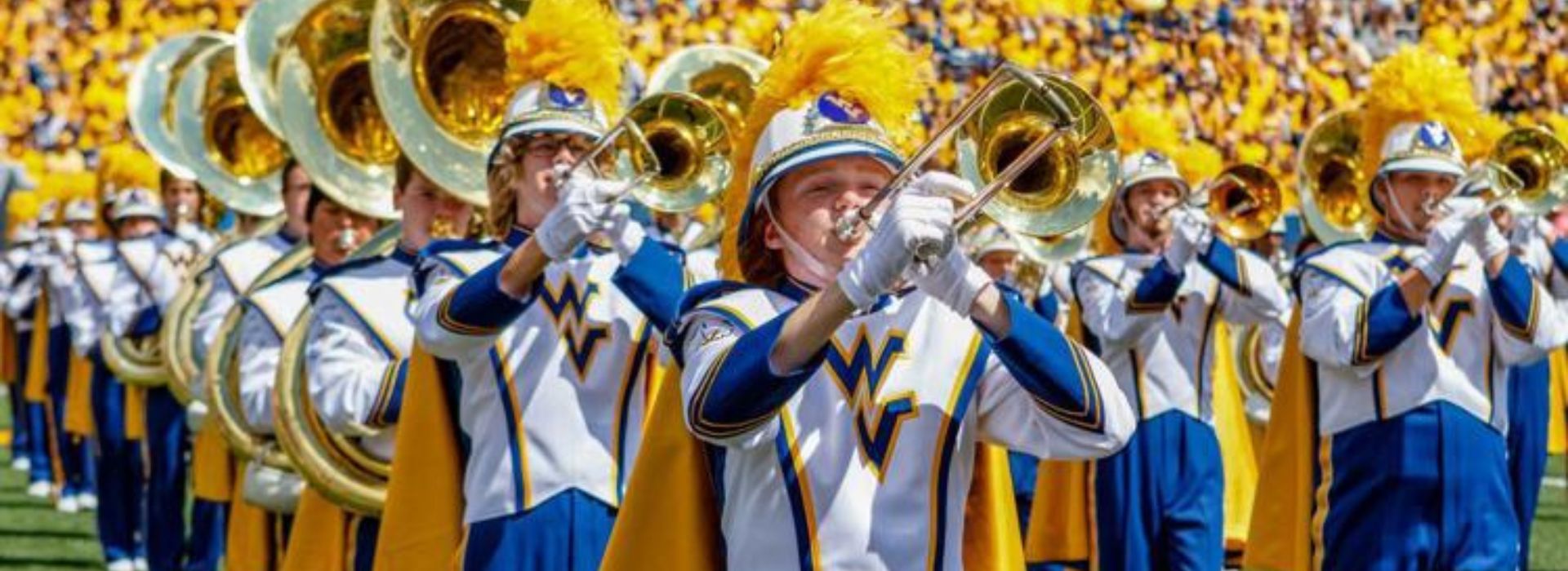 The Types of Musical Instruments: A Complete Guide for School Bands, Army Bands, Home Decor, and Music Lovers