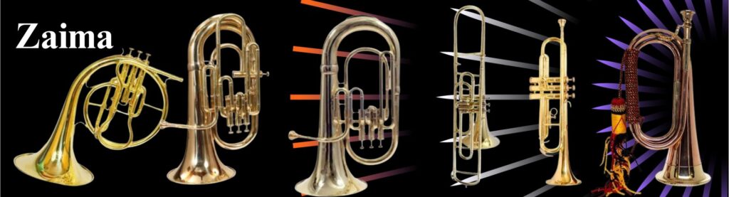 Best Musical Instruments for School Bands, Army Bands, Marching Parades & Music Lovers