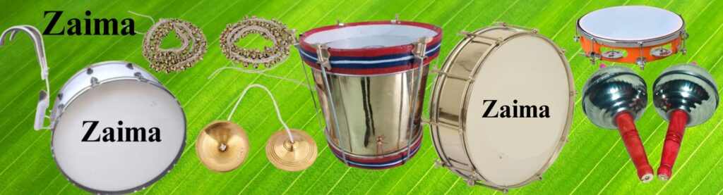Types of Musical Instruments for School Band, Army Band & Marching Parade
